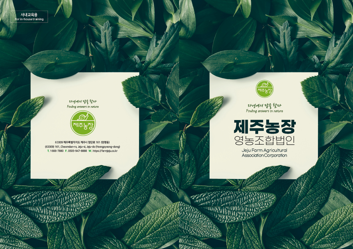 과일 야채 즙 카탈로그 제작