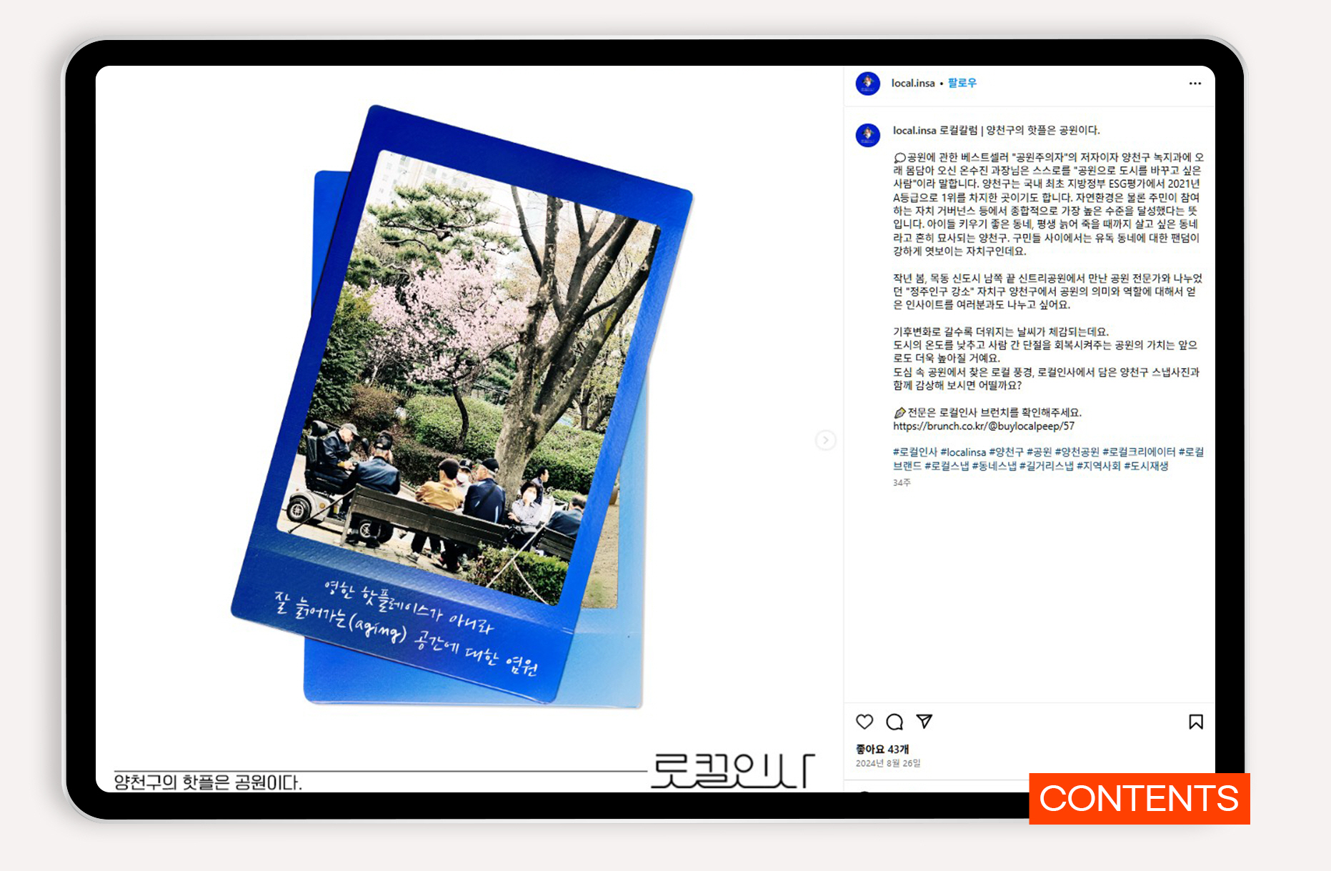 로컬 브랜드 컨설팅 바이럴마케팅
