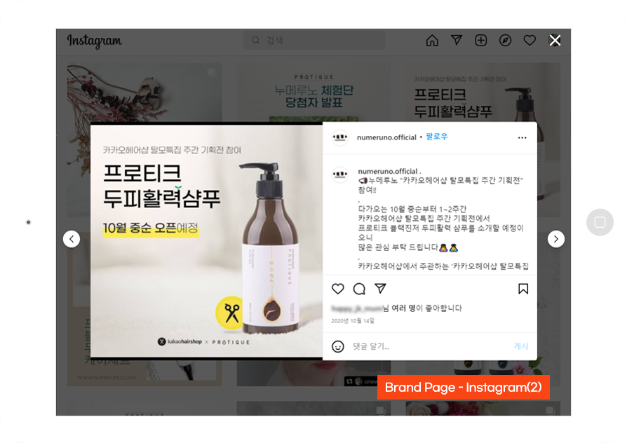 기능성 샴푸, 기능성 헤어 제품 바이럴마케팅